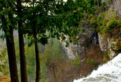 Eugenia Falls  from the top